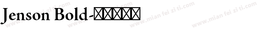 Jenson Bold字体转换